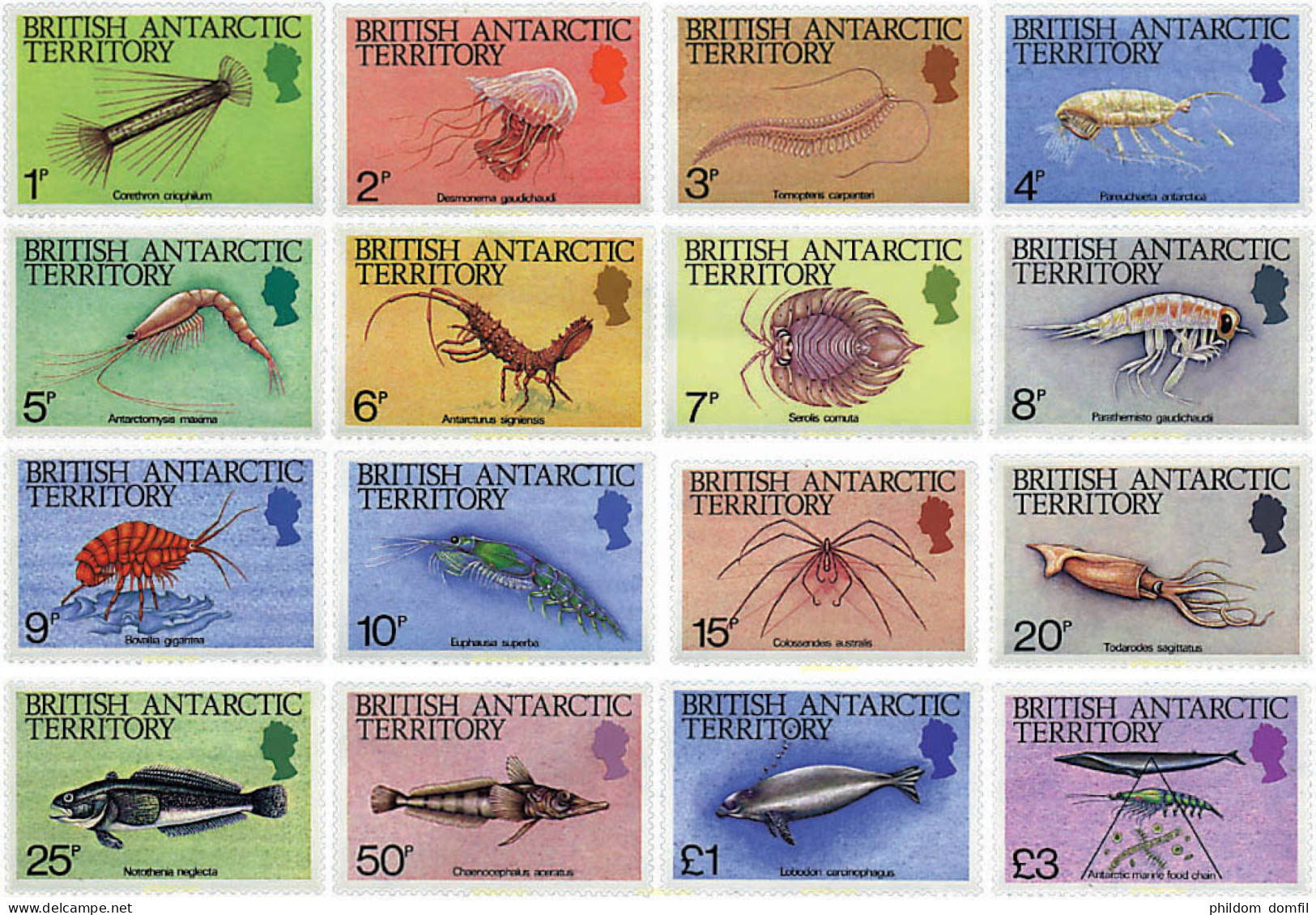 77409 MNH ANTARTIDA BRITANICA 1984 VIDA MARINA - Neufs