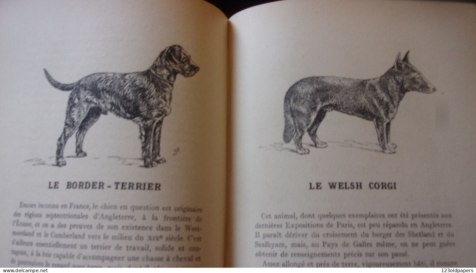 CHIENS DE BERGER - CHIENS DE GARDE -CHIENS D'AGREMENT. - ROBIN V. - 1933  / 275 PAGES FOX LEVRIER BARZOI CARLIN - Animales