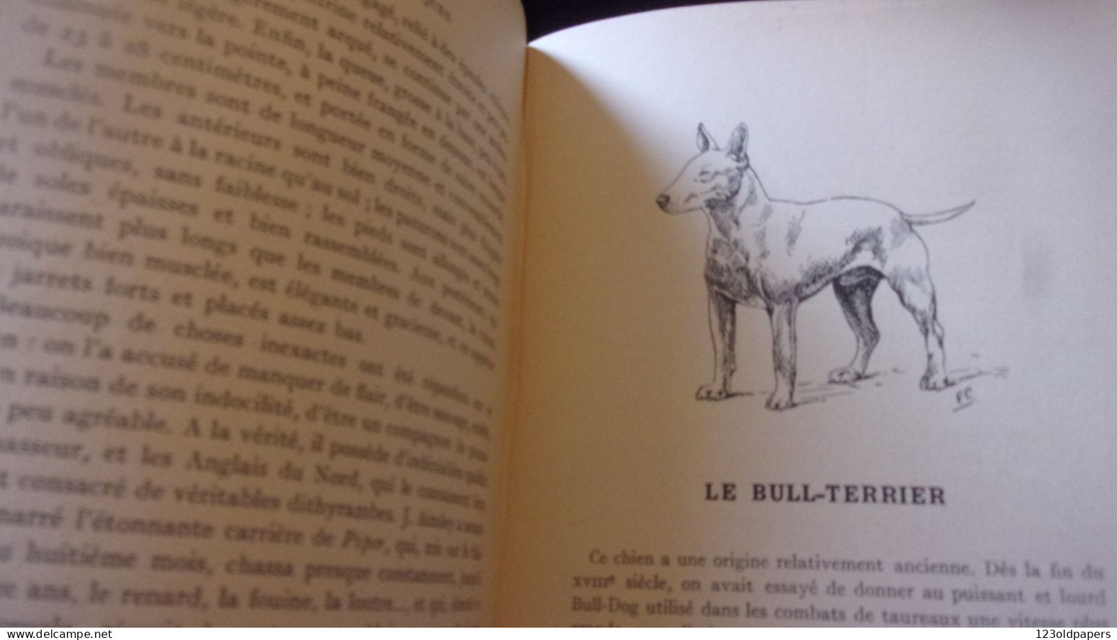 CHIENS DE BERGER - CHIENS DE GARDE -CHIENS D'AGREMENT. - ROBIN V. - 1933  / 275 PAGES FOX LEVRIER BARZOI CARLIN - Animali