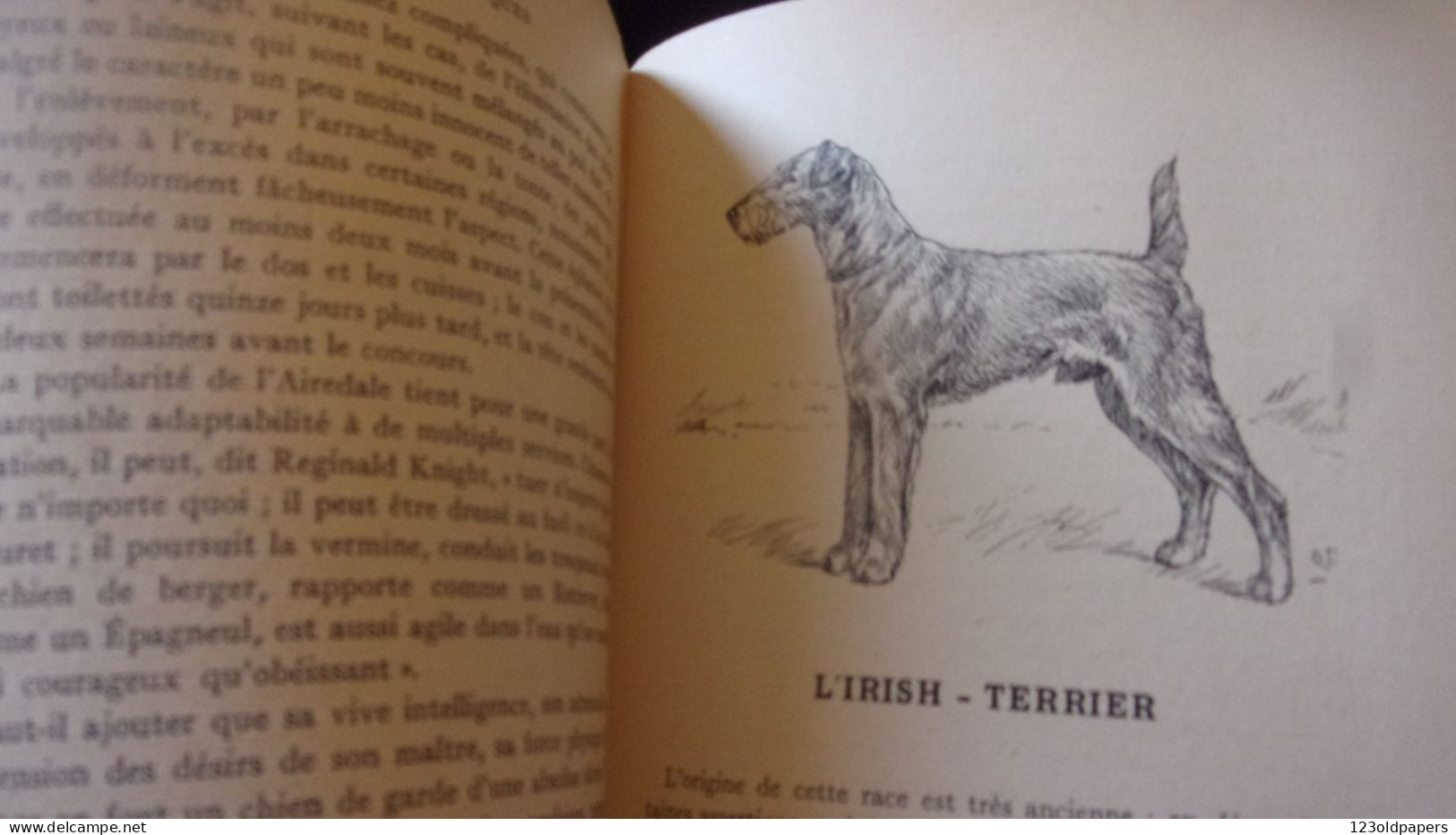 CHIENS DE BERGER - CHIENS DE GARDE -CHIENS D'AGREMENT. - ROBIN V. - 1933  / 275 PAGES FOX LEVRIER BARZOI CARLIN - Tiere