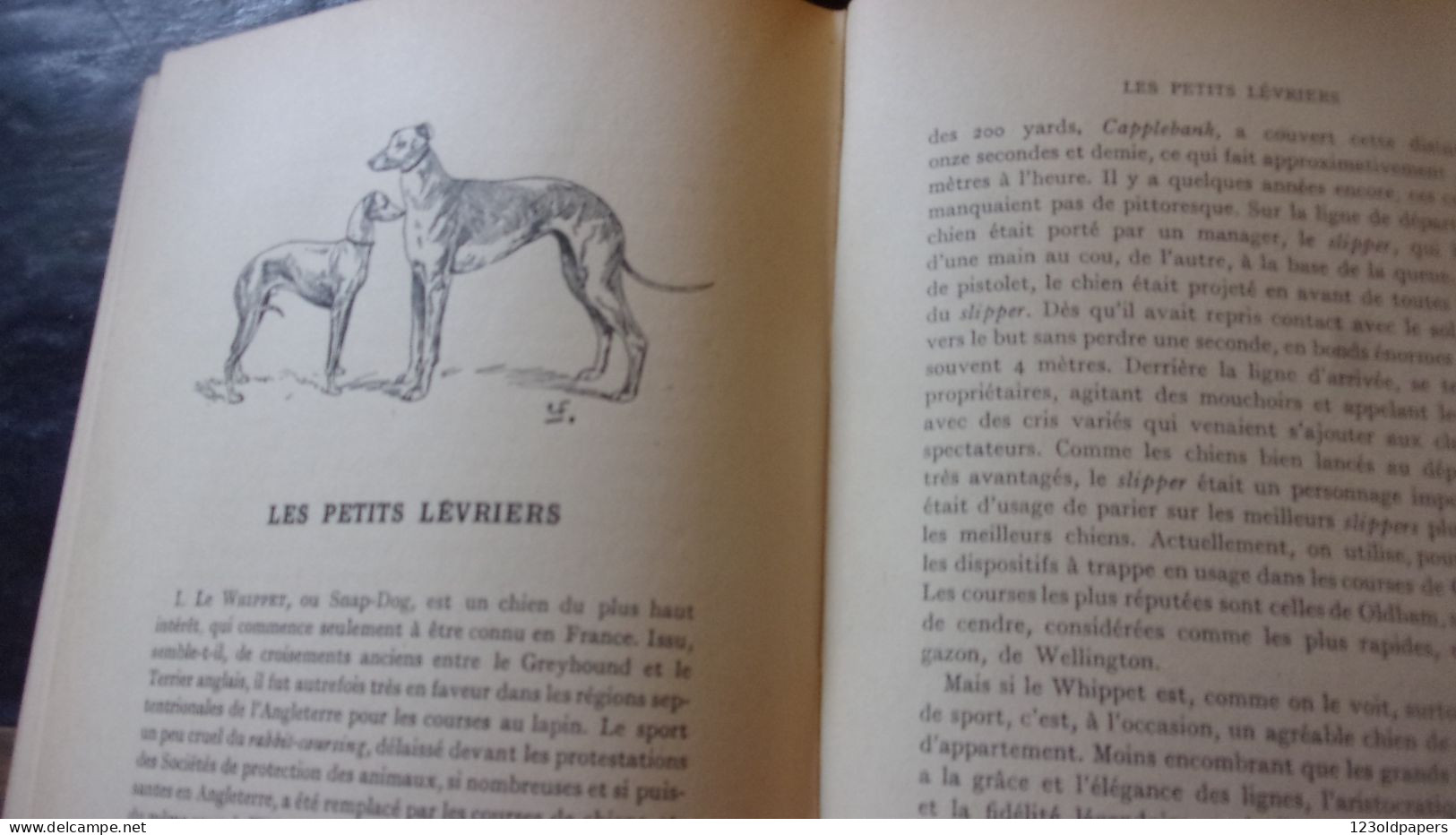 CHIENS DE BERGER - CHIENS DE GARDE -CHIENS D'AGREMENT. - ROBIN V. - 1933  / 275 PAGES FOX LEVRIER BARZOI CARLIN - Animales