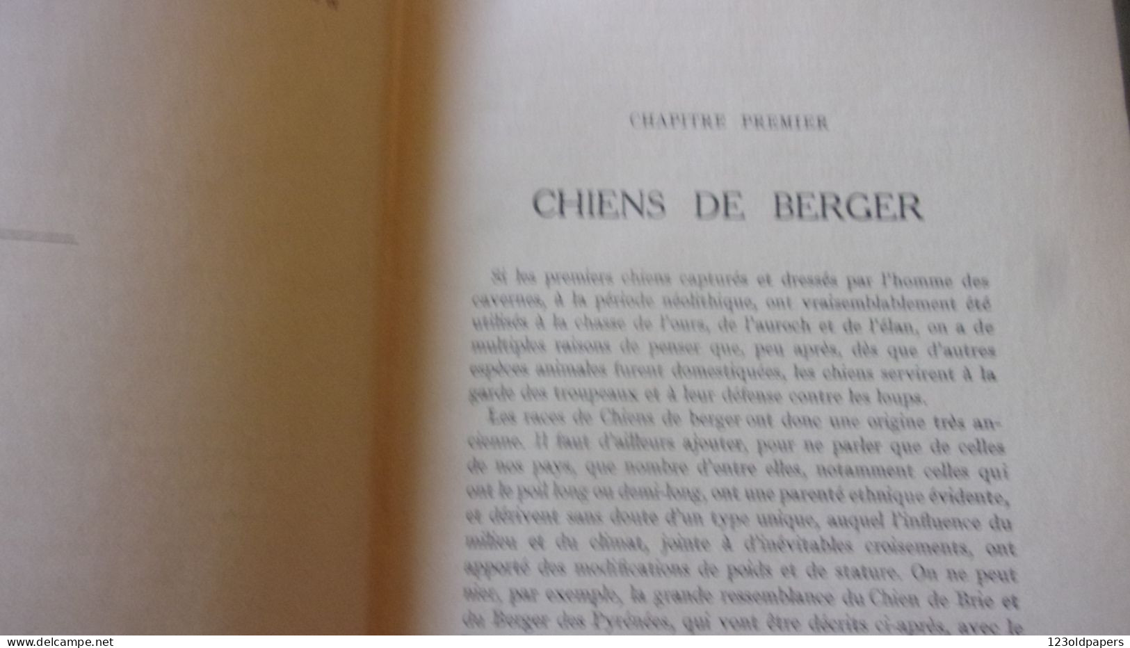 CHIENS DE BERGER - CHIENS DE GARDE -CHIENS D'AGREMENT. - ROBIN V. - 1933  / 275 PAGES FOX LEVRIER BARZOI CARLIN
