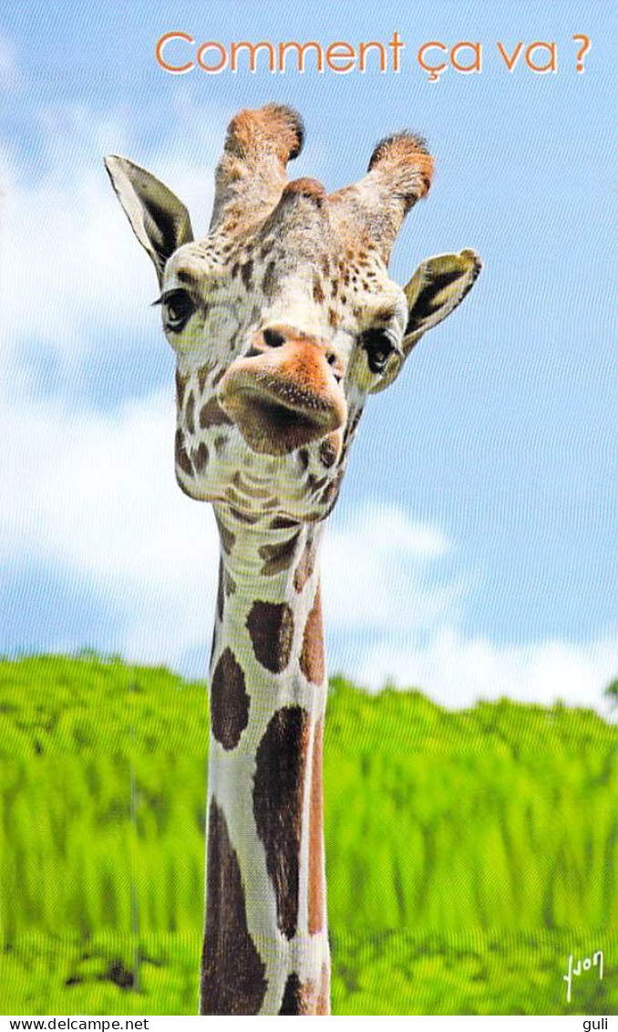 Animaux- Humour GIRAFE ( GIRAFFA GIRAFFE JIRAFA) Comment ça Va ? Editions : YVON Photo Thom Lang / Corbis *PRIX FIXE - Girafes