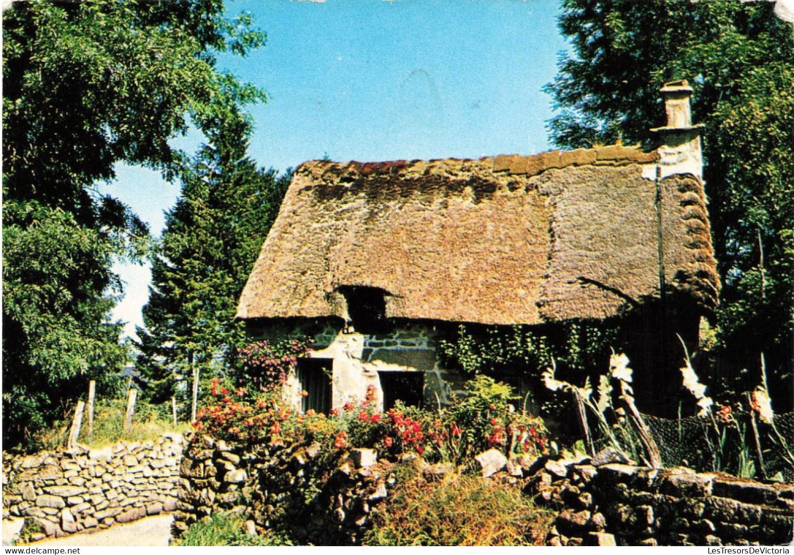 FRANCE - Treignac - PP - Chaumière - Fleurs - Jardin - Carte Postale - Treignac