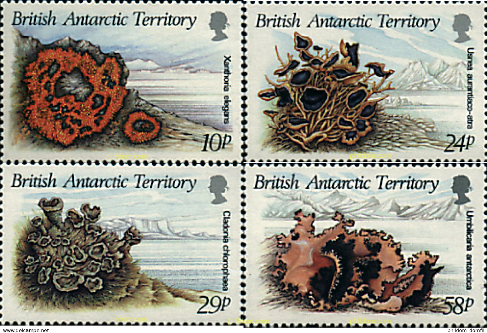 36333 MNH ANTARTIDA BRITANICA 1989 ALGAS - Neufs