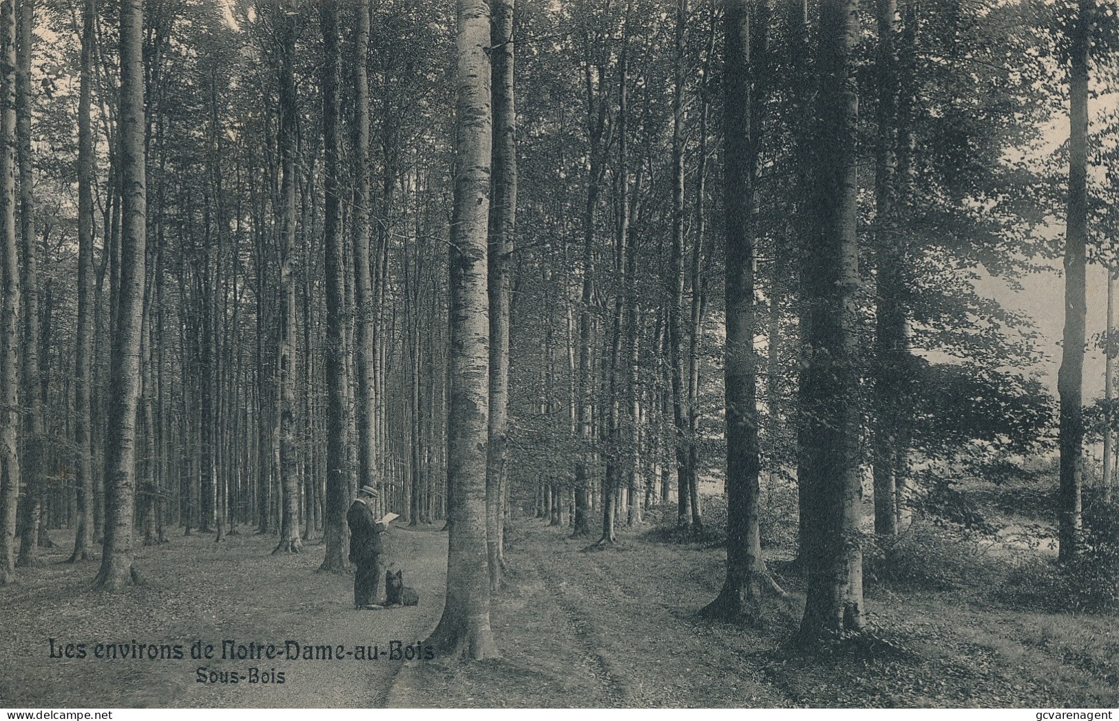 LES ANVIRONS DE NOTRE DAME AU BOIS   SOUS BOIS      2 SCANS - Overijse