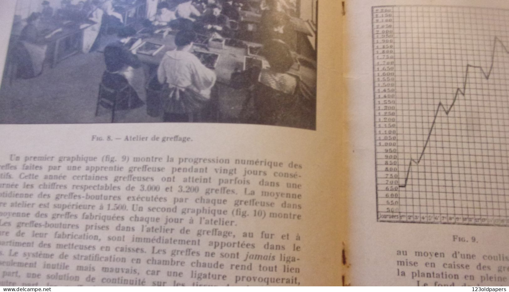 Le greffage à l'Etablissement de Viticulture - Maison Moët et Chandon 1935 - Raoul Chandon de Briallles CHAMPAGNE REIMS