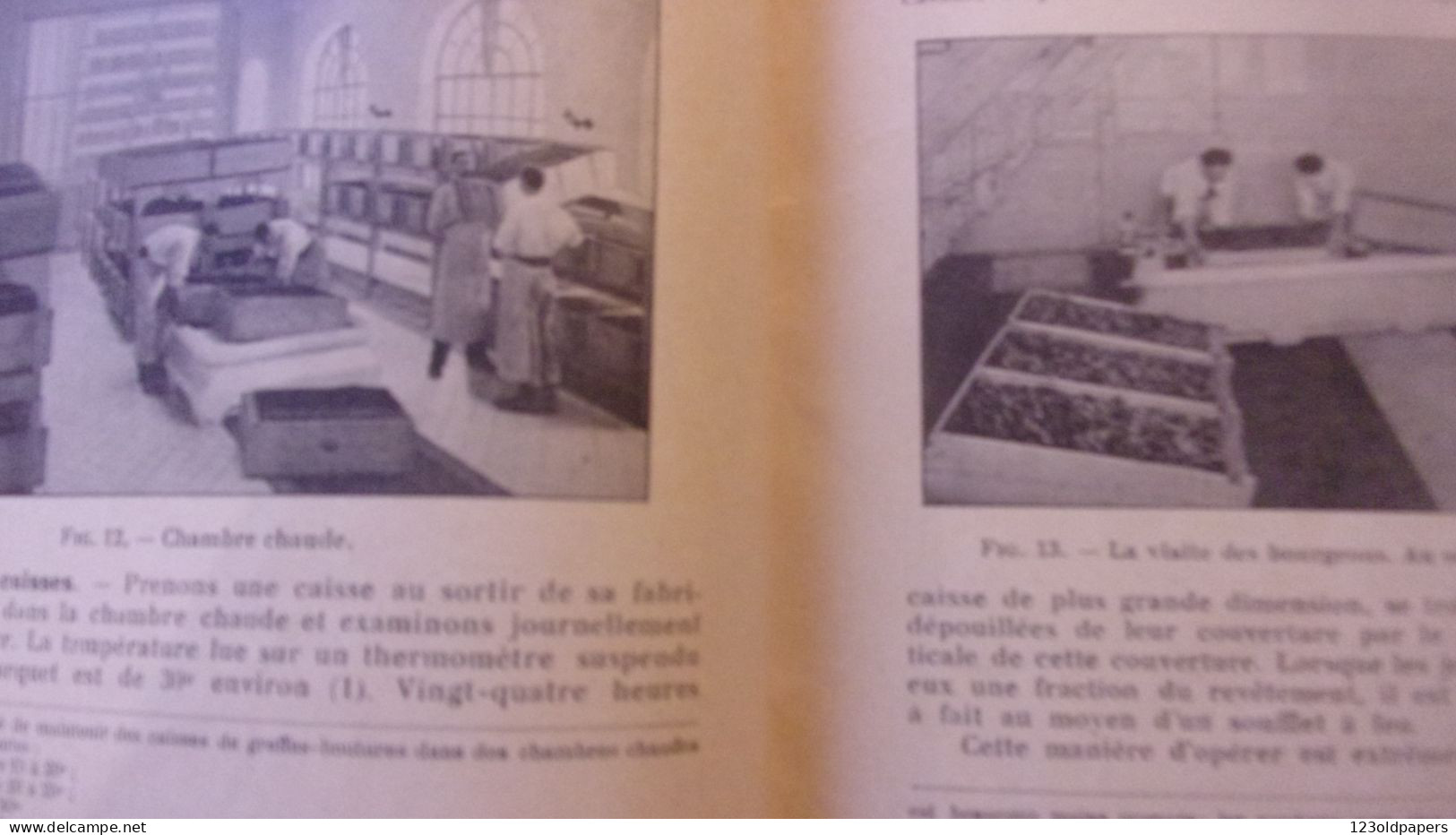 Le greffage à l'Etablissement de Viticulture - Maison Moët et Chandon 1935 - Raoul Chandon de Briallles CHAMPAGNE REIMS