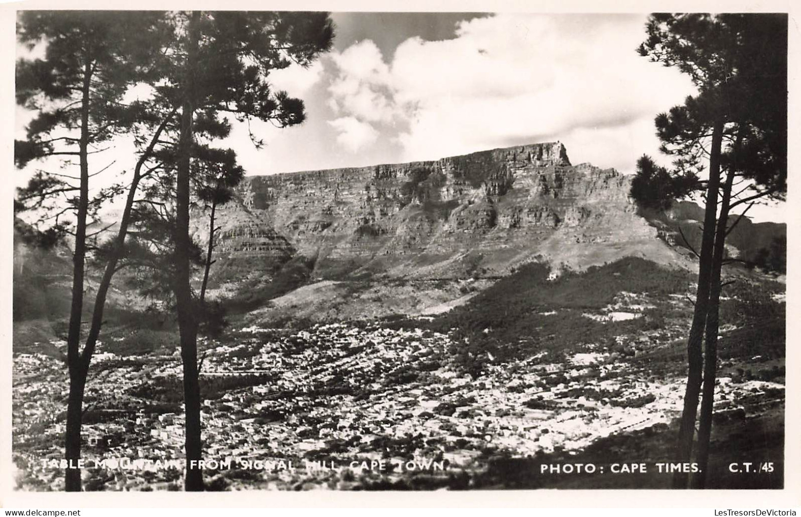 AFRIQUE DU SUD - Montagne De La Table - Carte Postale - Südafrika