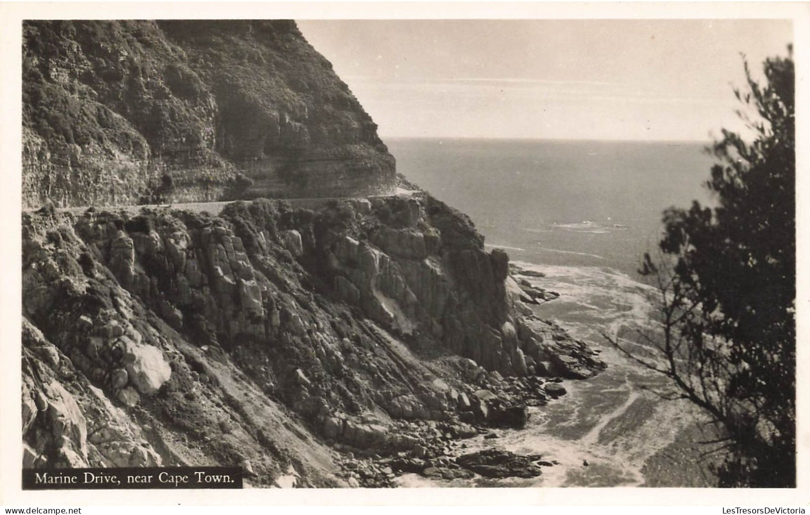 ROYAUME-UNI - Angleterre - Marine Drive - Near Cape Town - Carte Postale - Scarborough