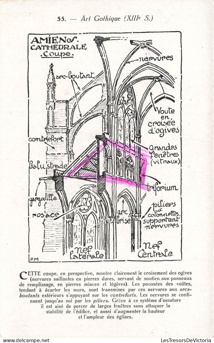 BÂTIMENTS & ARCHITECTURE - Art Gothique - Amiens - Cathédrale - Coupe - Carte Postale Ancienne - Churches & Cathedrals