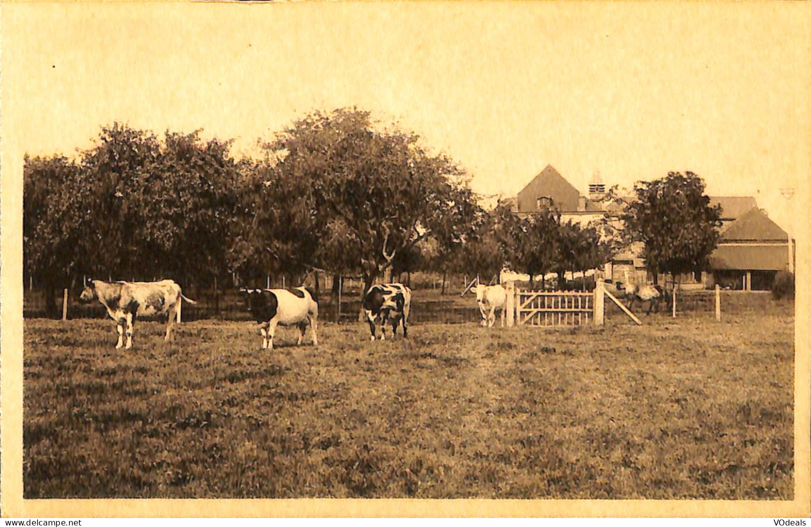 Belgique - Hainaut - Tournai - Ere - Couvent Des Pères Passionistes - Le Verger Et La Ferme - Tournai