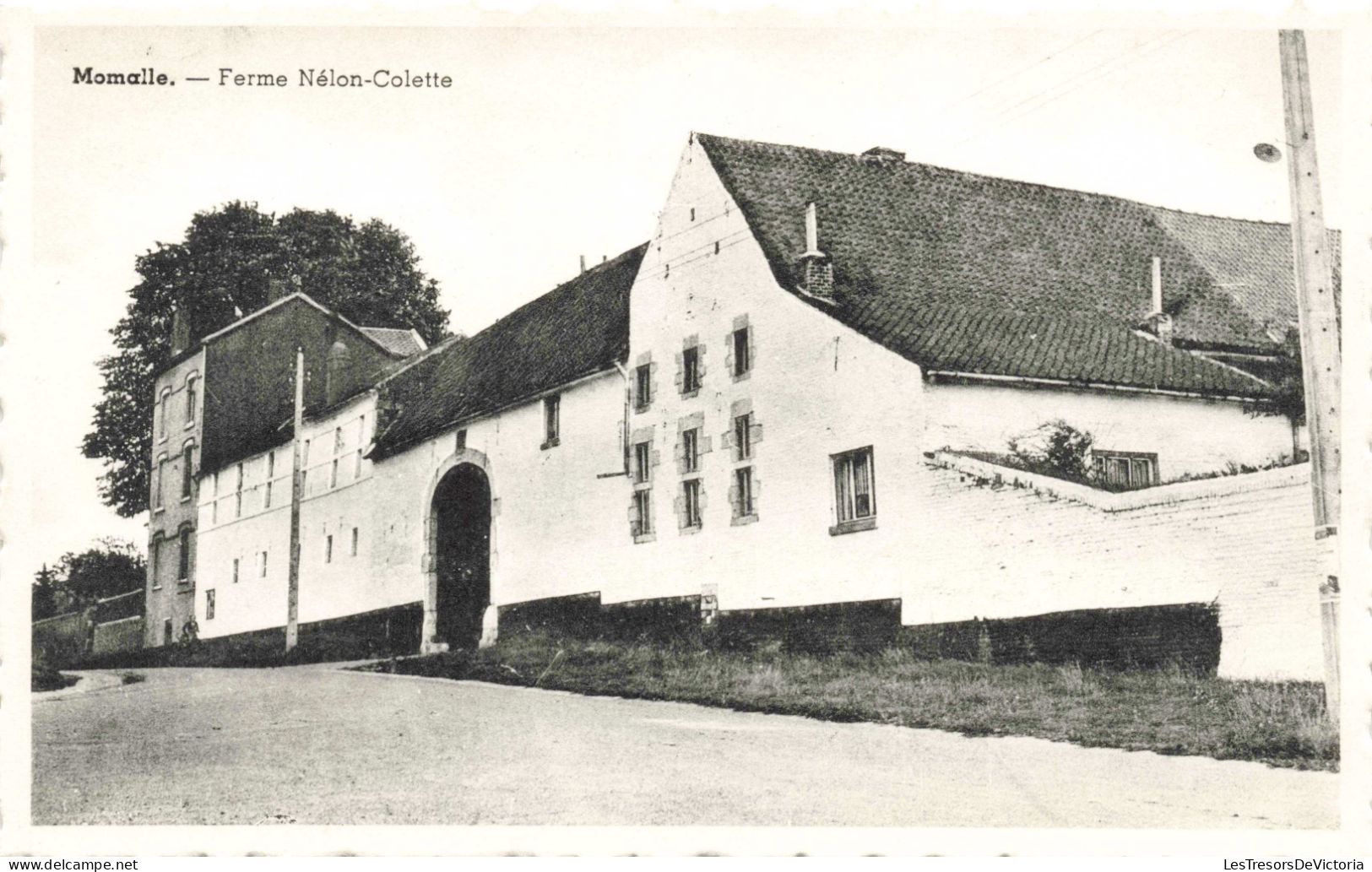 BELGIQUE - Momalle - Ferme Nélon-Colette - Carte Postale Ancienne - Remicourt