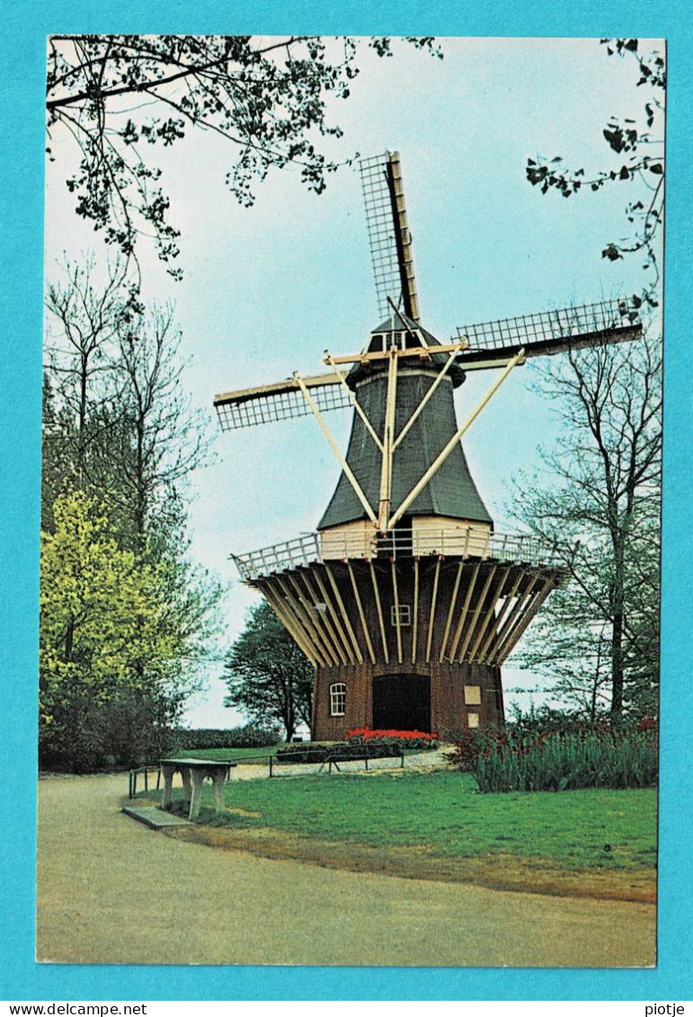 * Lisse (Zuid Holland - Nederland) * (Druk Planeta Haarlem - Foto L. Blok) Keukenhof, Molen, Moulin, Mill, Muhle - Lisse