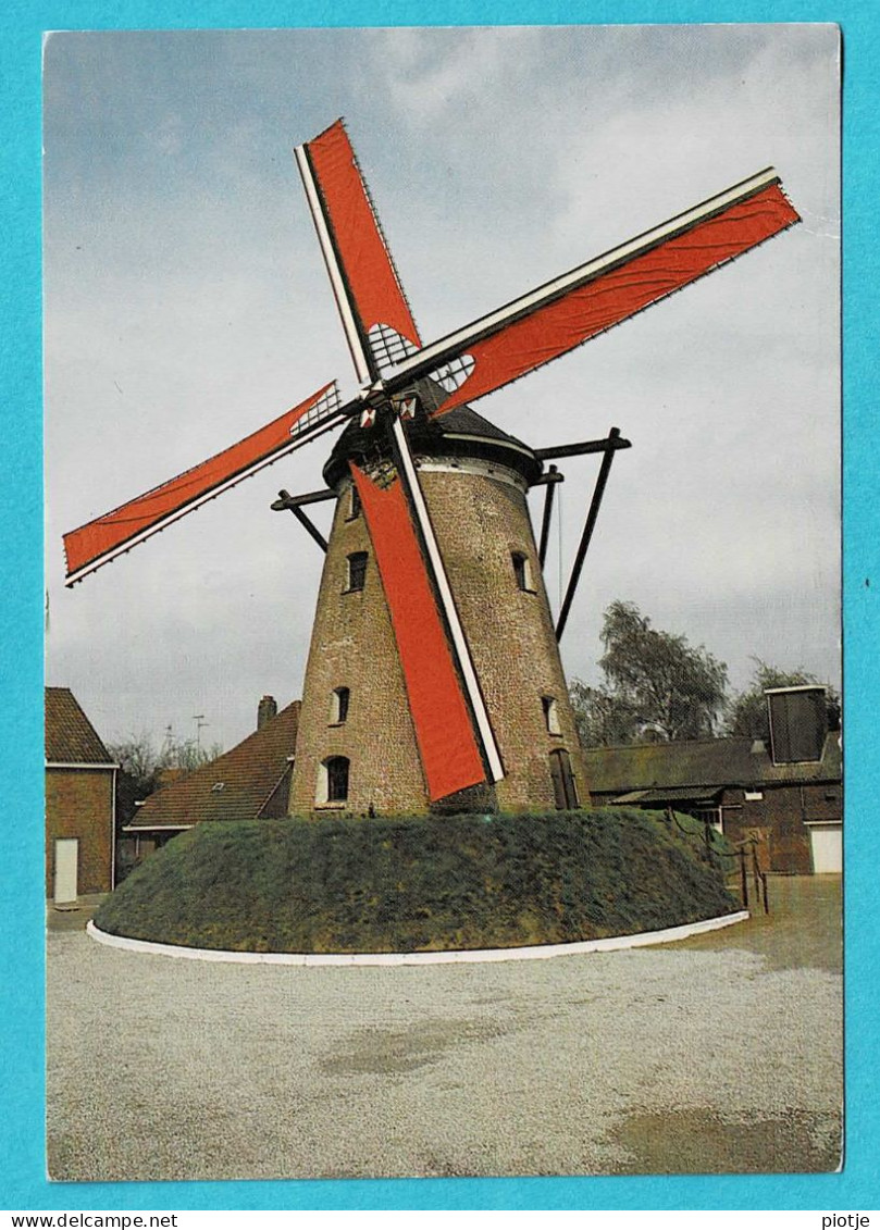 * Hamme (Oost Vlaanderen) * Windmolen De Grote Napoleon, Moulin Le Grand Napoleon, Eig Paul De Vos Vlaminck, Molen - Hamme