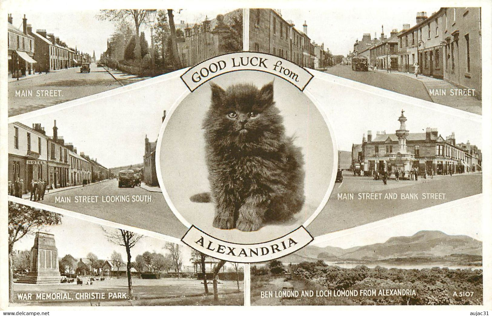 Royaume-Uni - Ecosse - Dunbartonshire - Chats - Chat - Cats - Cat - Good Luck From Alexandria - Multivues - Dunbartonshire