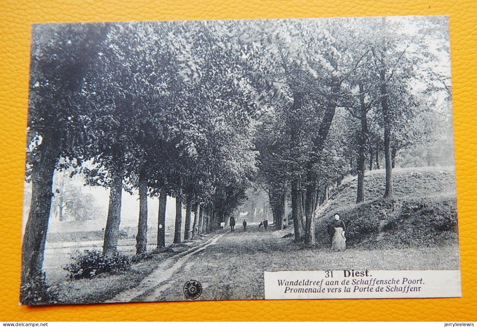 DIEST  -  Wandeldreef Aan De Schaffensche Poort  - Promenade  Vers La Porte De Schaffen - Diest