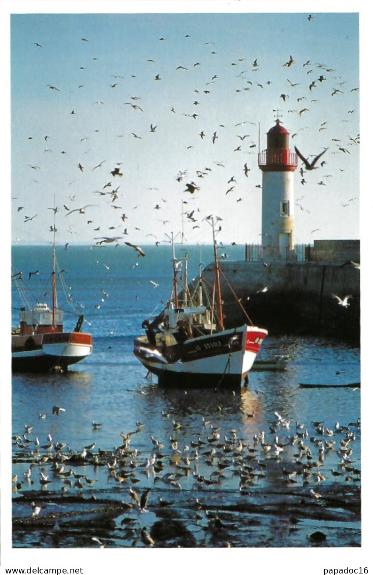 17 - Port De La Cotinière à Marée Bssse Et Vol De Mouettes - éd. Marcou N° 170736/F32 [Saint-Pierre D'Oleron] - Saint-Pierre-d'Oleron