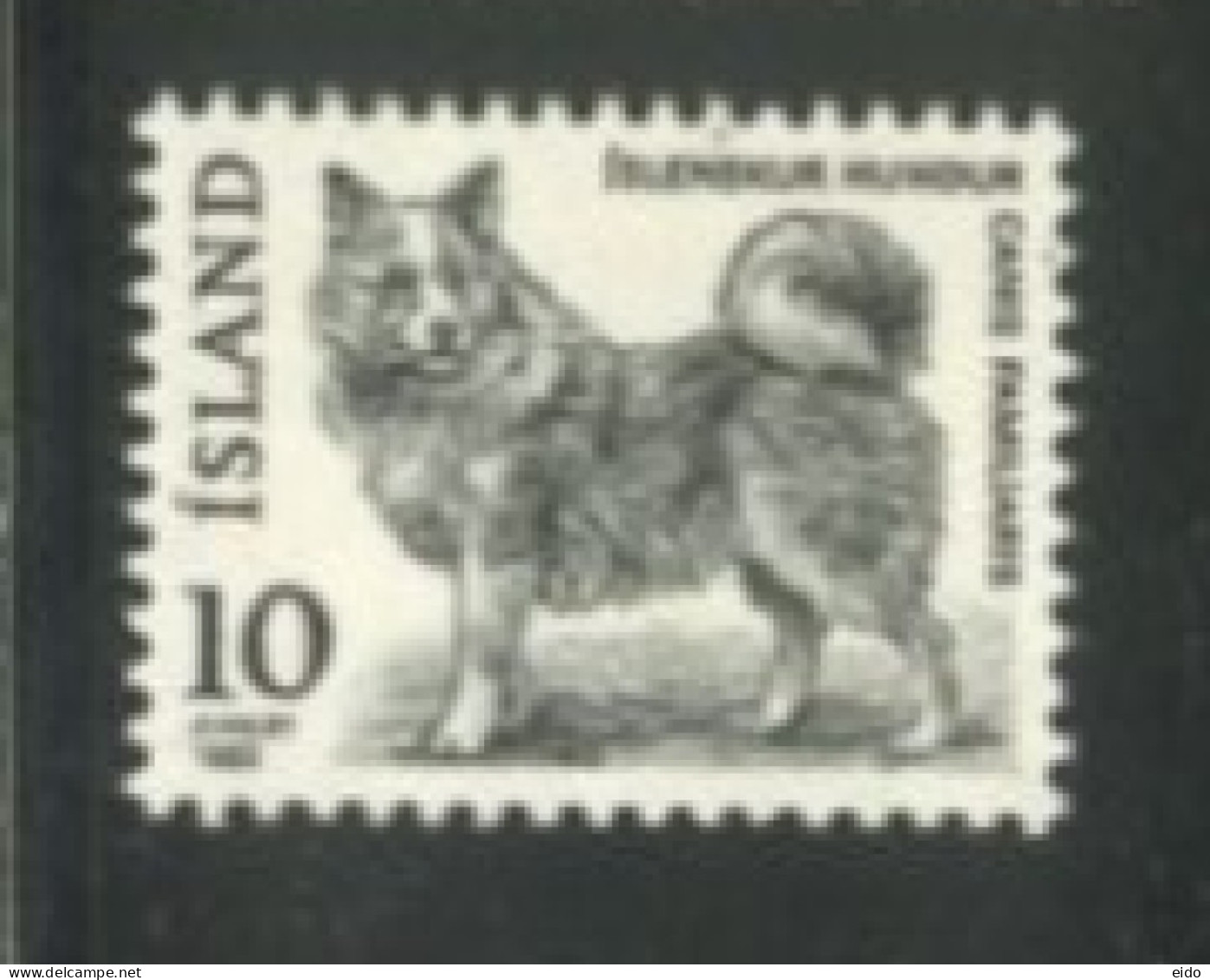 ISLAND - 1980, ISLENSKUR HUNDUR DOG STAMP,  UMM (**). - Unused Stamps