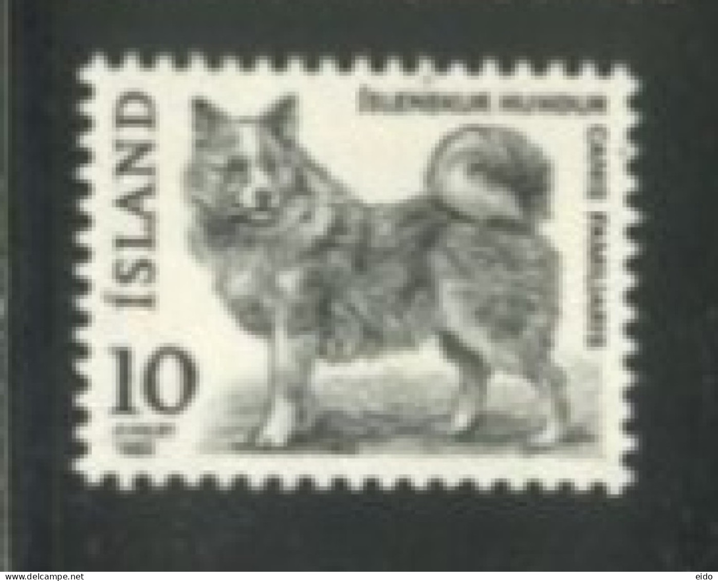 ISLAND - 1980, ISLENSKUR HUNDUR DOG STAMP,  UMM (**). - Nuevos