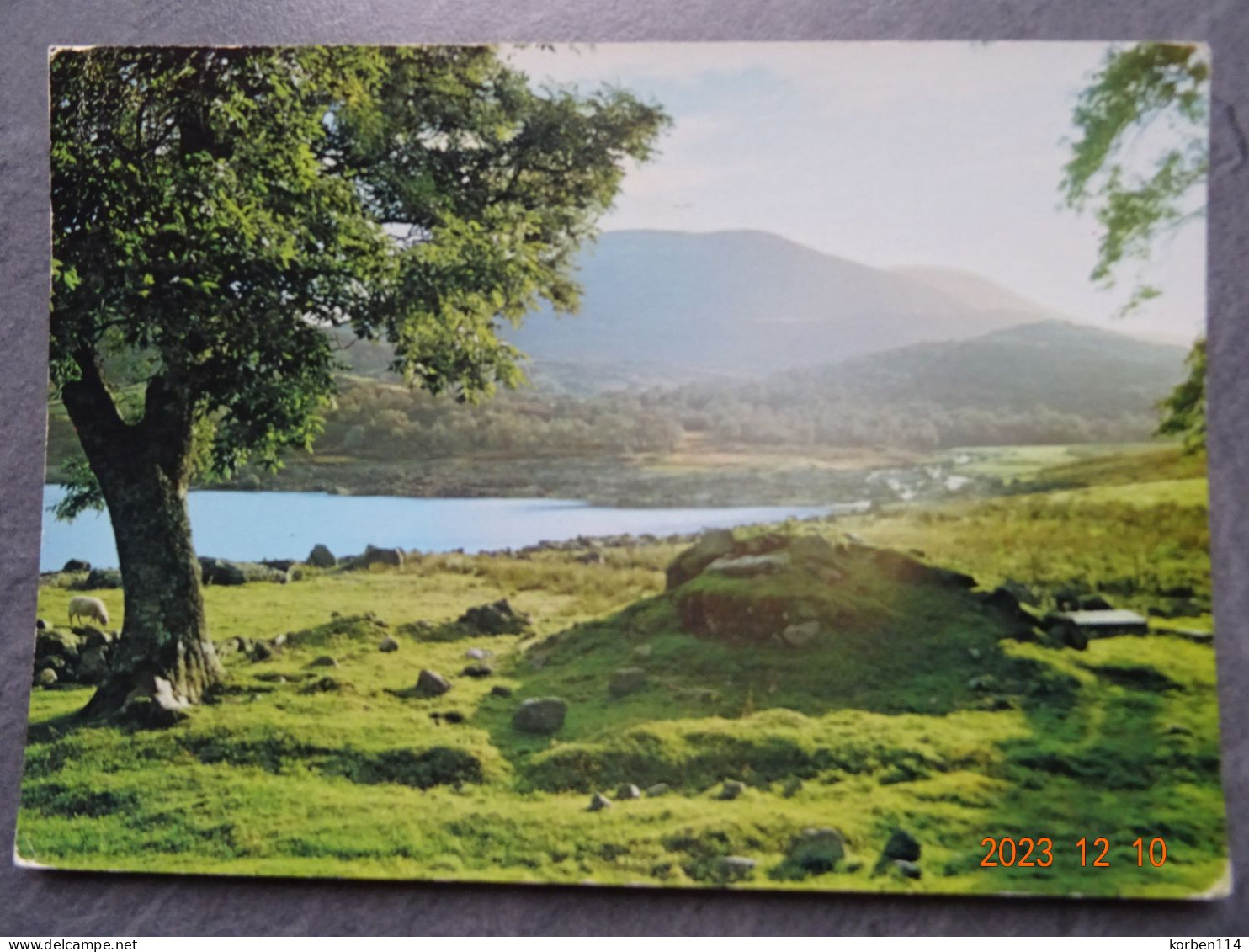 LLYN CELYN AND ARENIG FAWR - Gwynedd