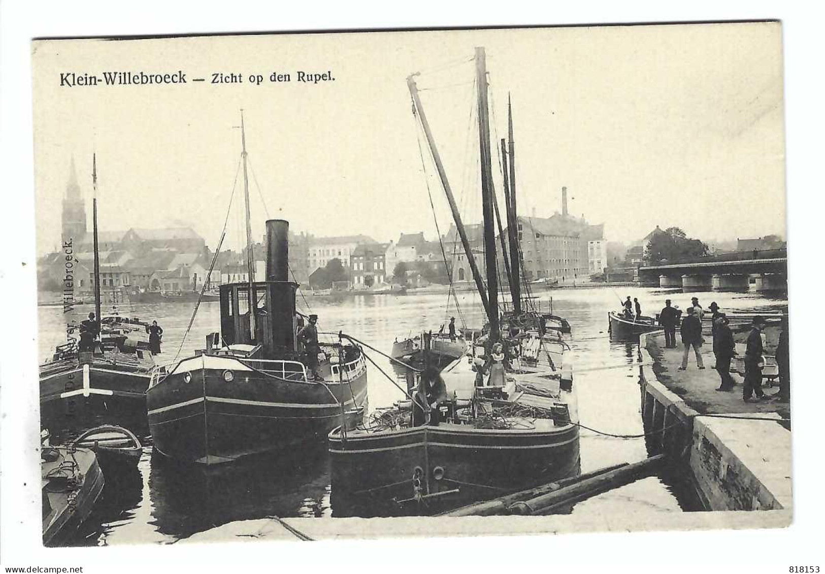 Boom  Klein-Willebroeck - Zicht Op Den Rupel - Boom