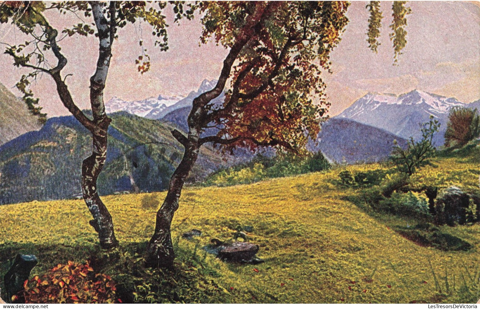 SUISSE - Environs De Fetan - Carte Postale Ancienne - Ftan