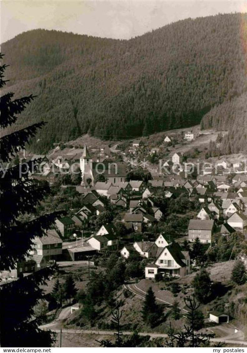 42903141 Feudingen Panorama Feudingen - Bad Laasphe