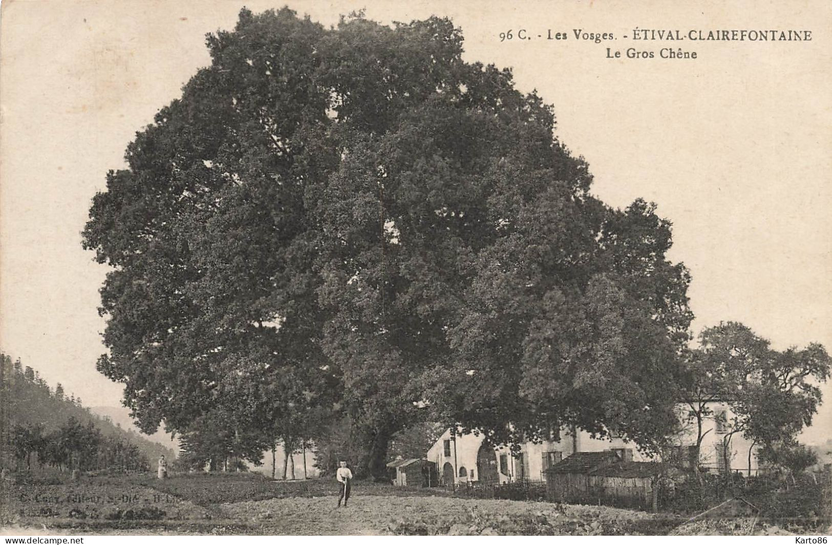 étival Clairefontaine * Le Gros Chêne , Un Coin Du Village * Arbre Tree * Enfants Villageois - Etival Clairefontaine