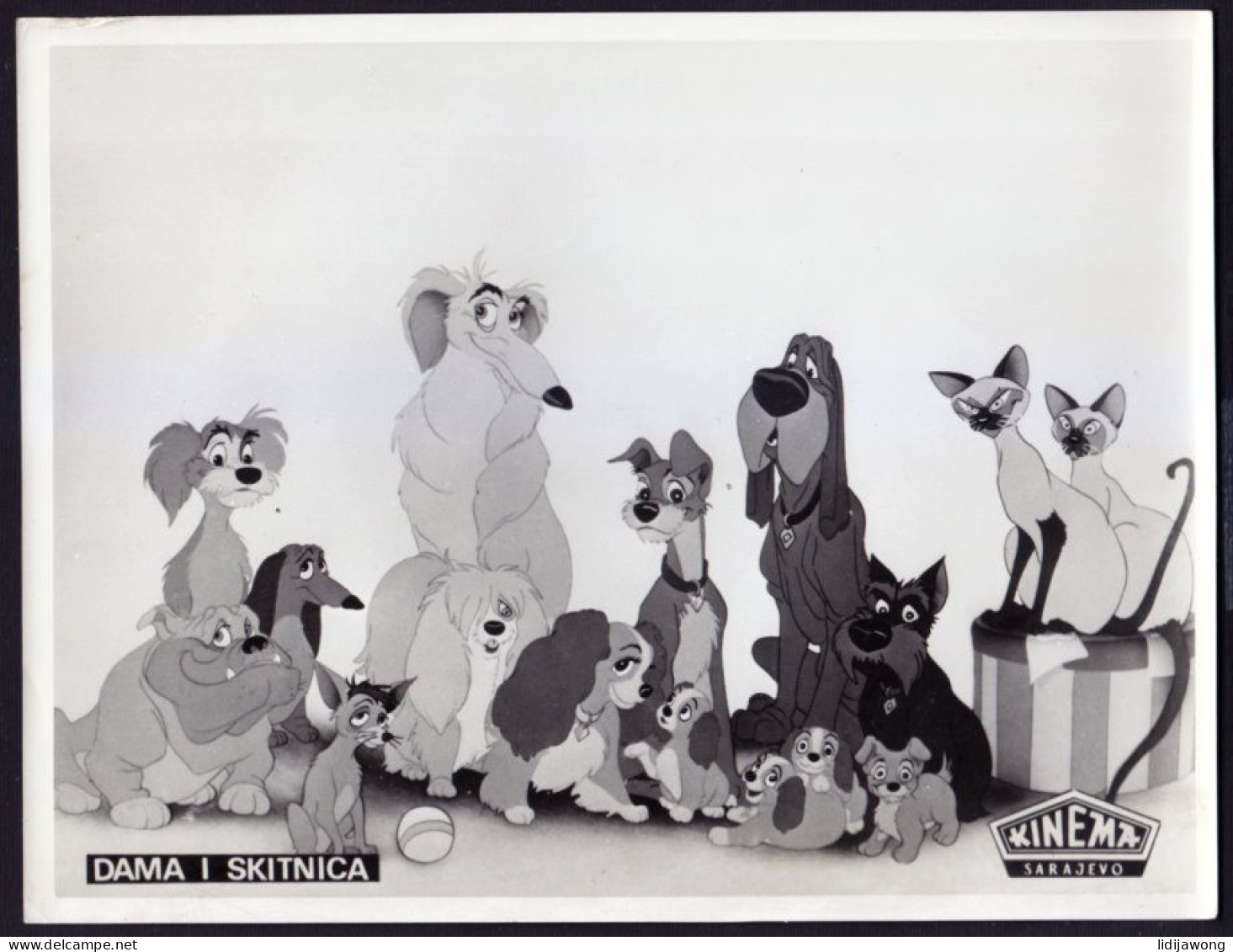 Disney LADY And TRAMP Set Of 7 Vintage Movie Stills Cinema Film 18 X 24 Cm (7.09" X 9.45") (see Sales Conditions) - Autres Formats