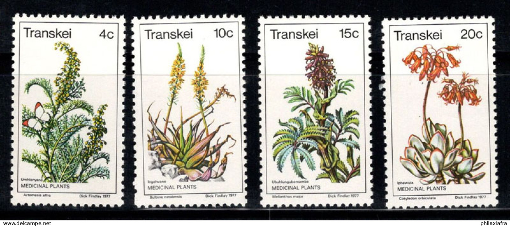 Transkei 1977 Mi. 24-27 Neuf ** 100% Plantes, Flore, Fleurs - Transkei