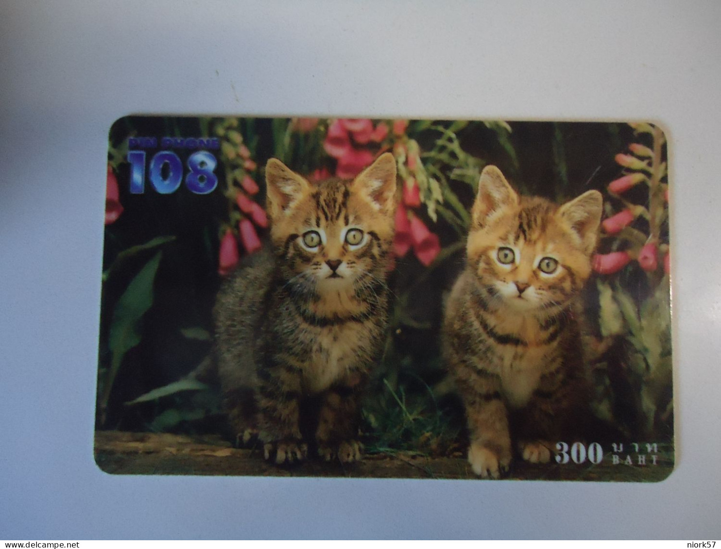 THAILAND USED   CARDS PIN 108  ANIMALS  CATS CAT  UNITS 300 - Gatos