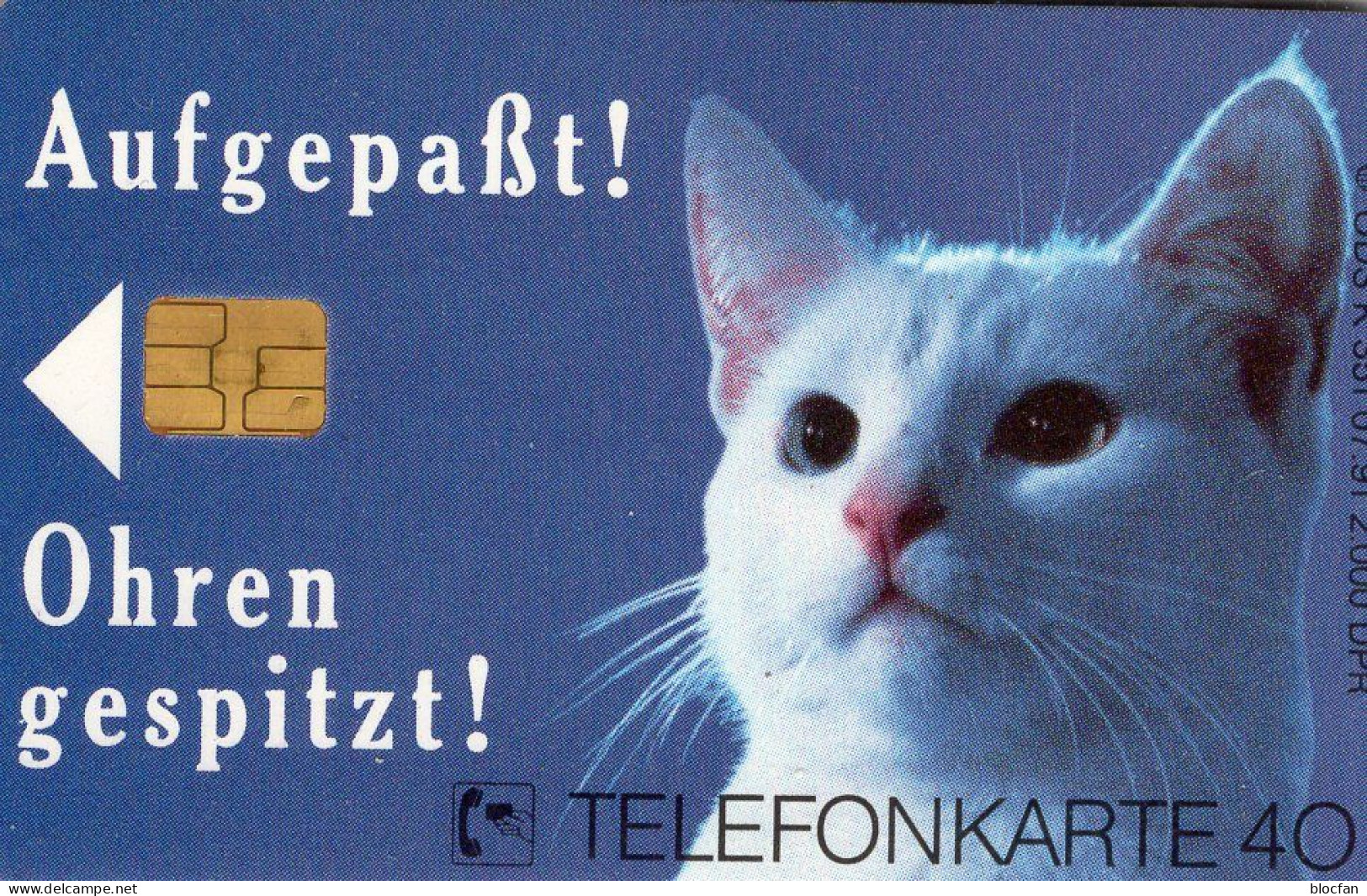 Aufgepaßt Catsan TK K 351/1991 ** 90€ Katze Ohren Gespitzt Katzen Wollen Beste Tiernahrung TC Fauna Phonecard Of Germany - Chats