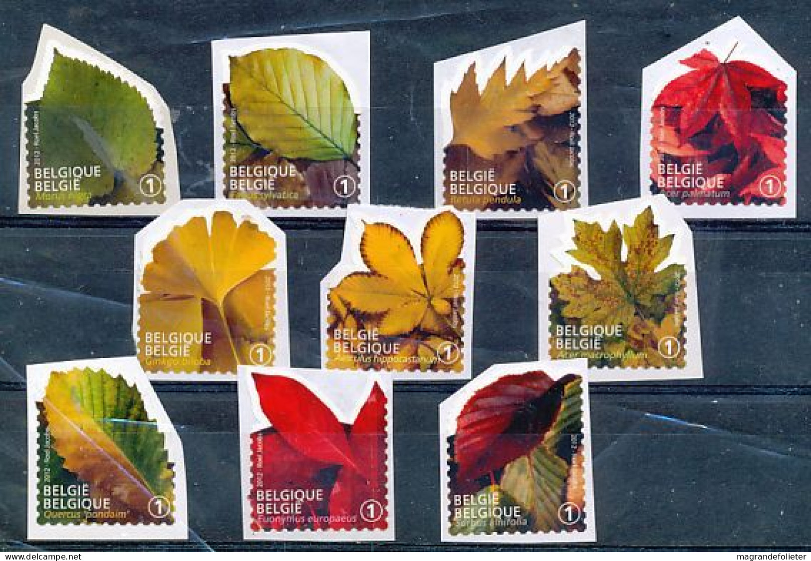 TIMBRE  ZEGEL STAMP  BELGIQUE HERBIER LES FEUILLES 4268-4271  XX - 2013-... Rey Felipe