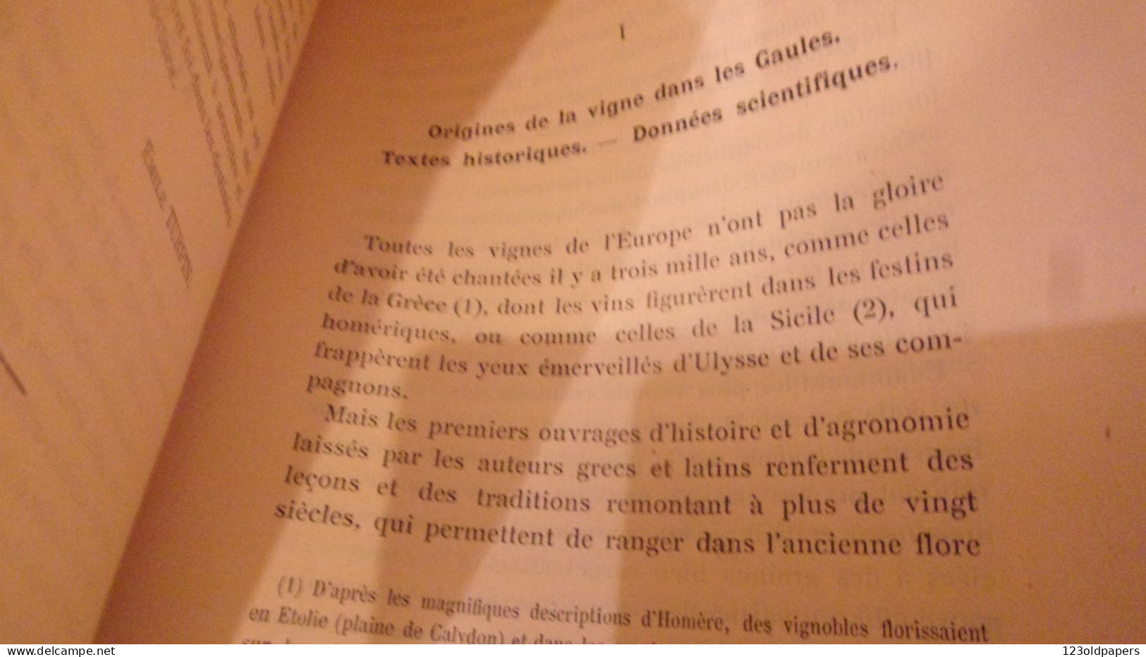 BERRY 1907 EMILE TURPIN LES VIGNES ET LES VINS DU BERRY  ETUDE HISTORIQUE ET STATISTIQUE 430 PAGES ED LIMITE 100 EX - Centre - Val De Loire