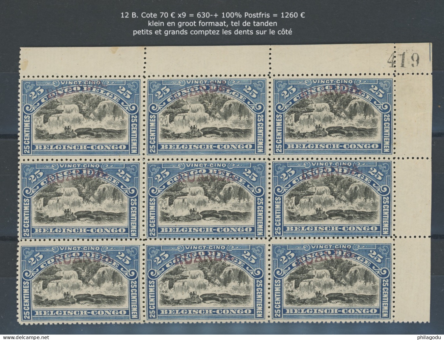 12.B. ** 25c  Waterfall. Chutes.  Bloc De 9 **  Postfris Luxe **. Cote 1260,-€ - Unused Stamps