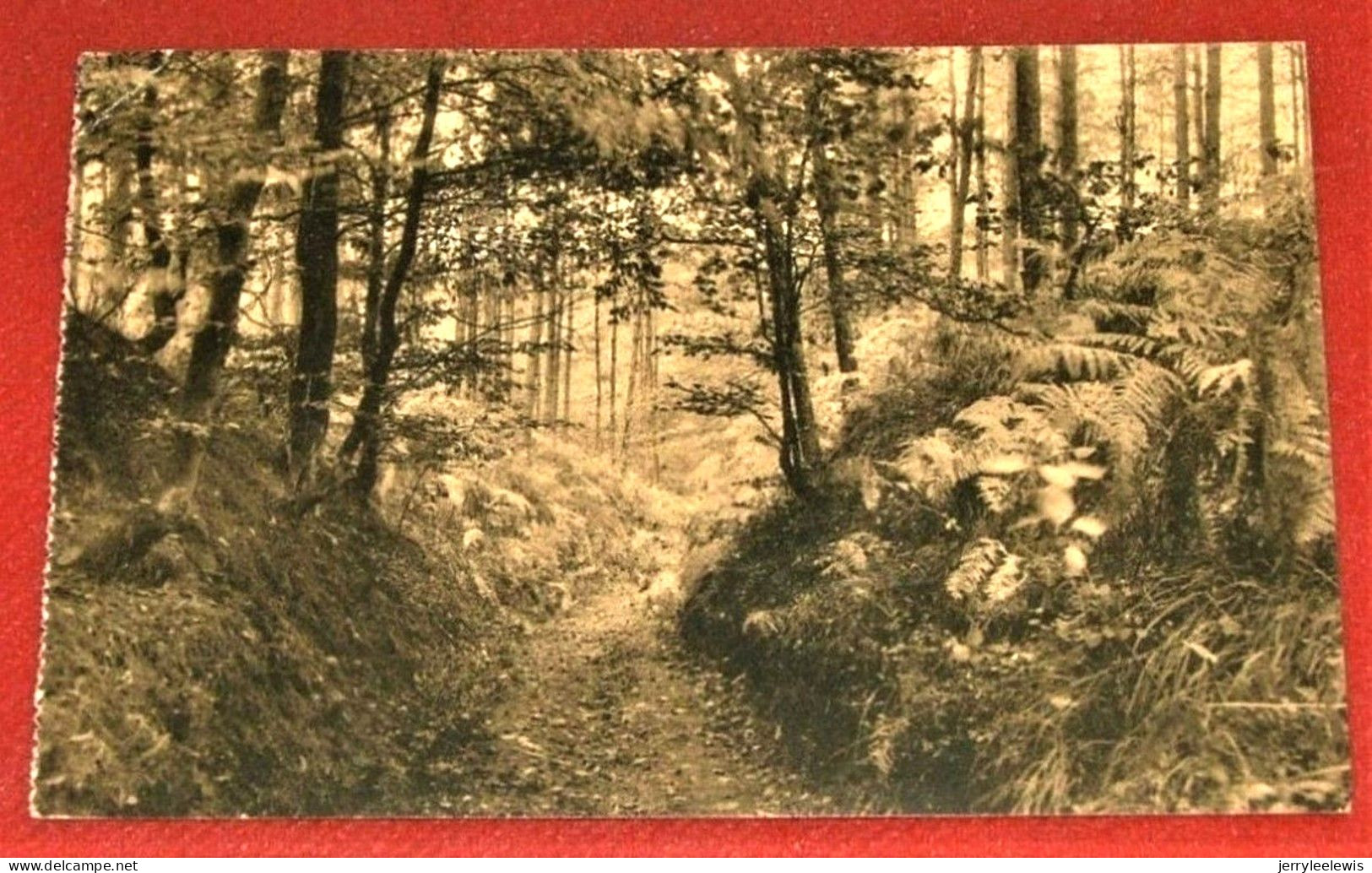 BRUXELLES - AUDERGHEM   -   Sentier Des Fougères -  1913   - - Oudergem - Auderghem