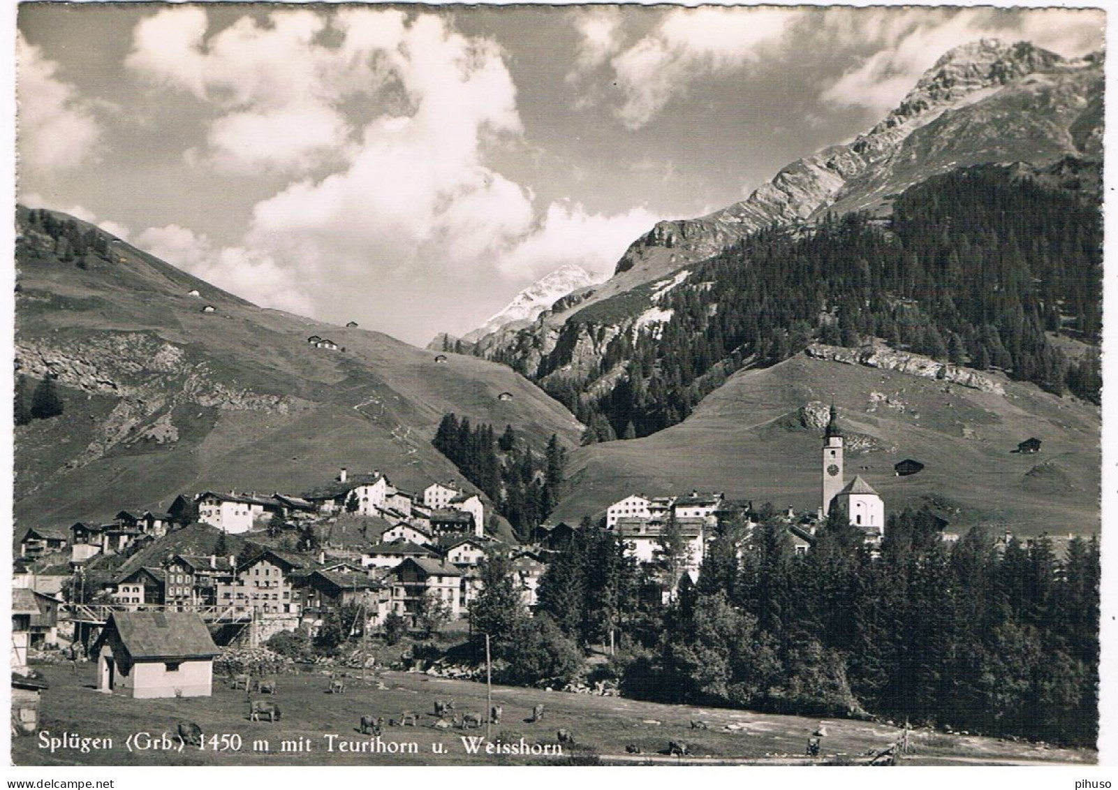 CH-8164  SPLÜGEN : Mit Teurihorn U. Weisshorn - Splügen