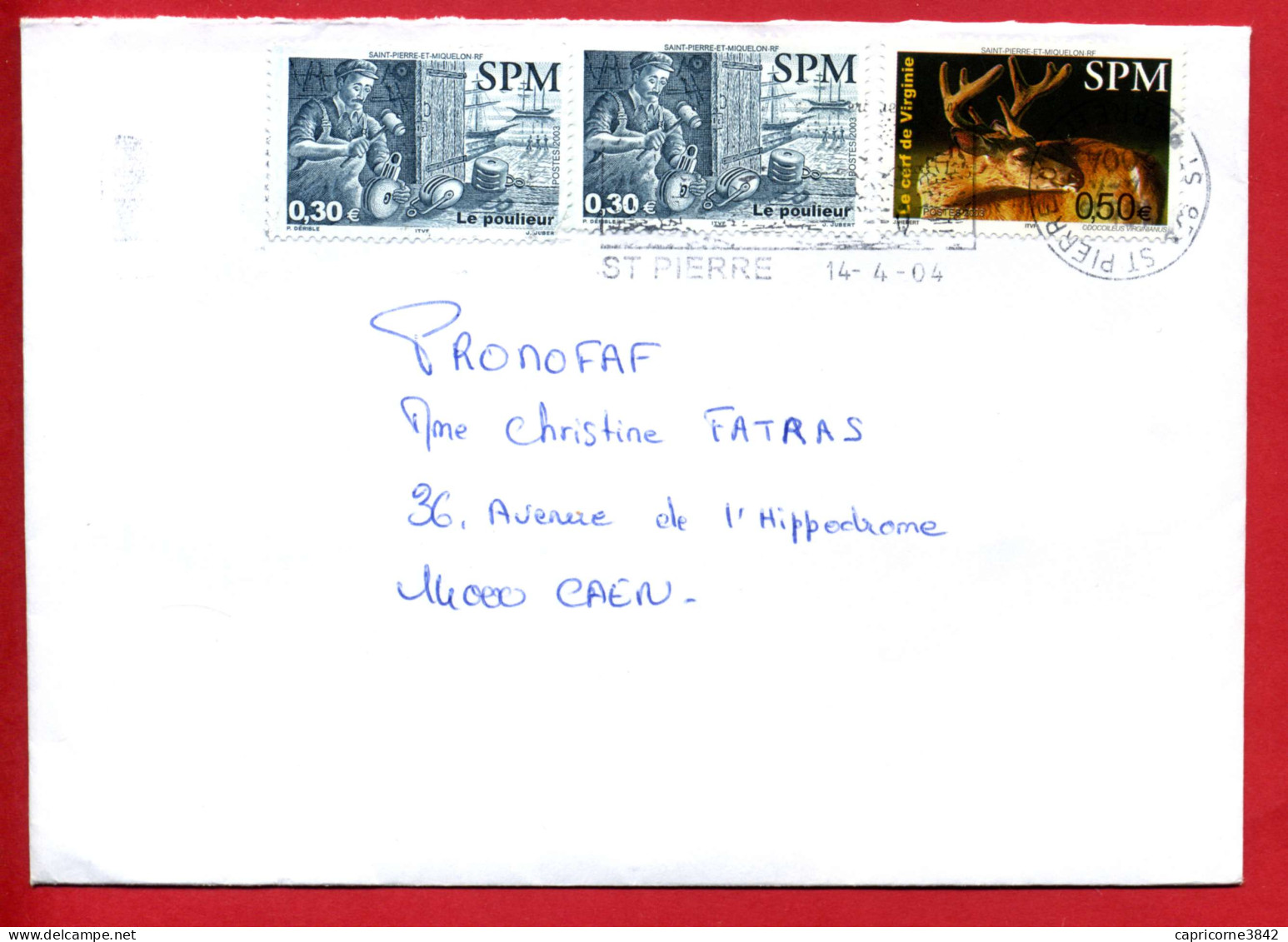 2003 - Lettre De SAINT PIERRE ET MIQUELON Pour La France - 2 Tp "le Poulieur" N° 795 Et "Cerf De Virginie" N° 799 - Storia Postale