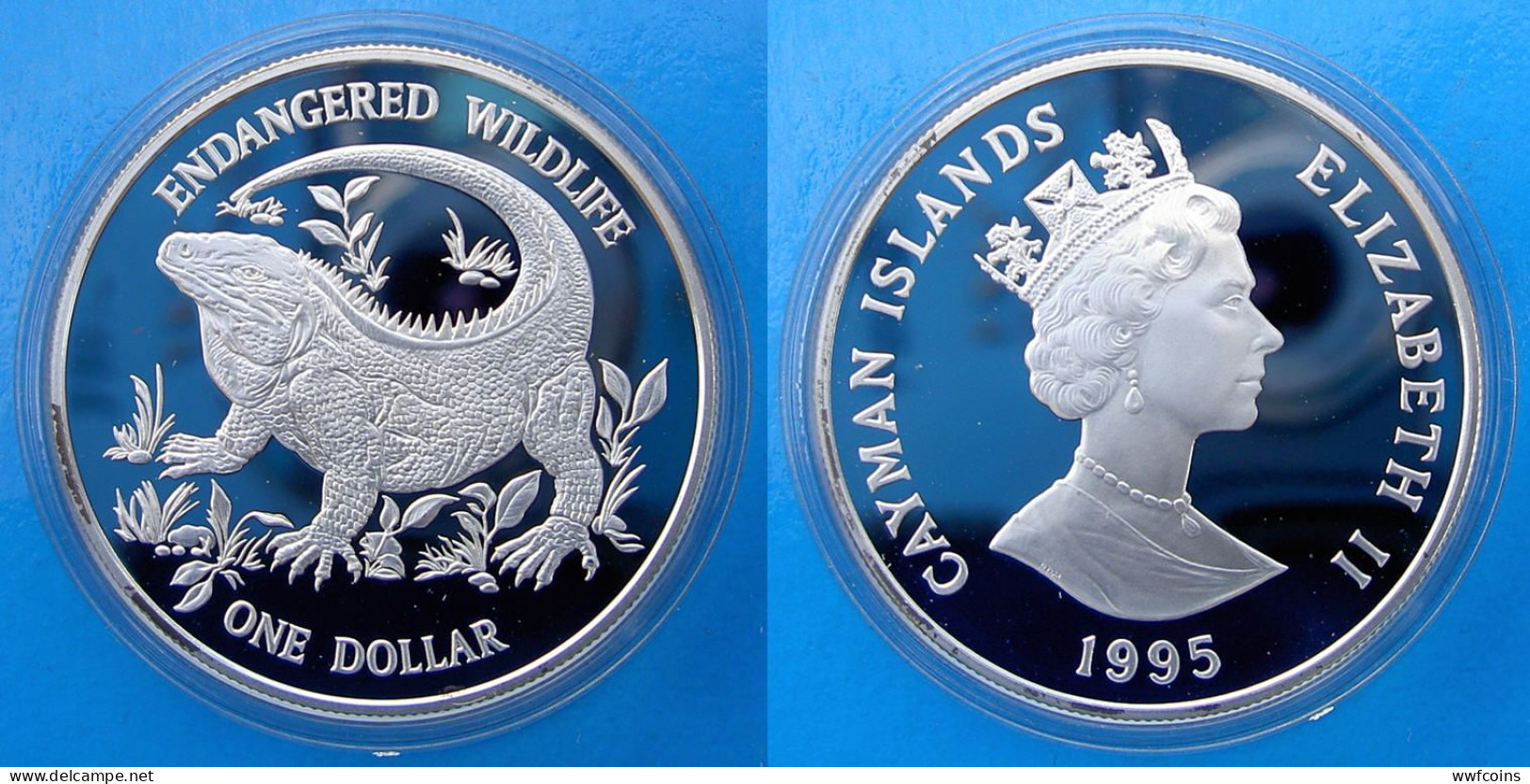 CAYMAN ISLANDS 1 $ 1995 ARGENTO SILVER ENDANGERED WILDLIFE WWF ROCK IGUANA PESO 28,28g TITOLO 0,925 CONSERVAZIONE FONDO - Kaaiman Eilanden