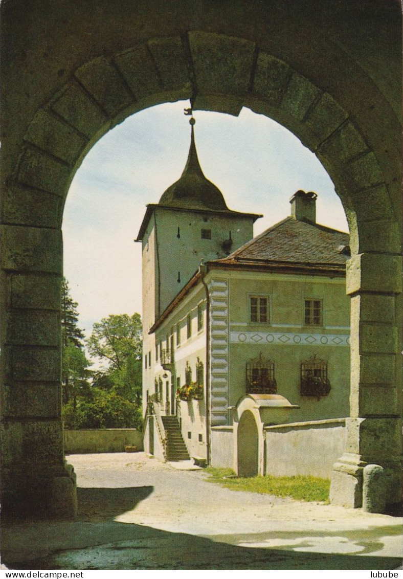 Zernez - Schloss Wildenberg  (Bogensicht)         1965 - Zernez