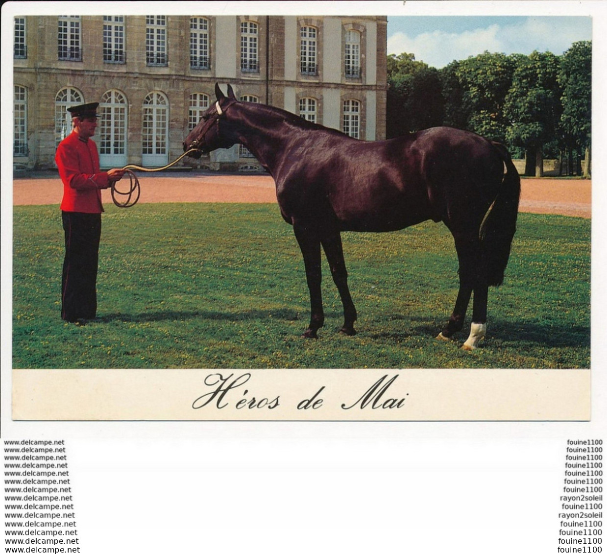 Carte ( Format 15 X 10,5 Cm )  EXMES Le HARAS DU PIN  HEROS DE MAI  Trotteur Français - Exmes