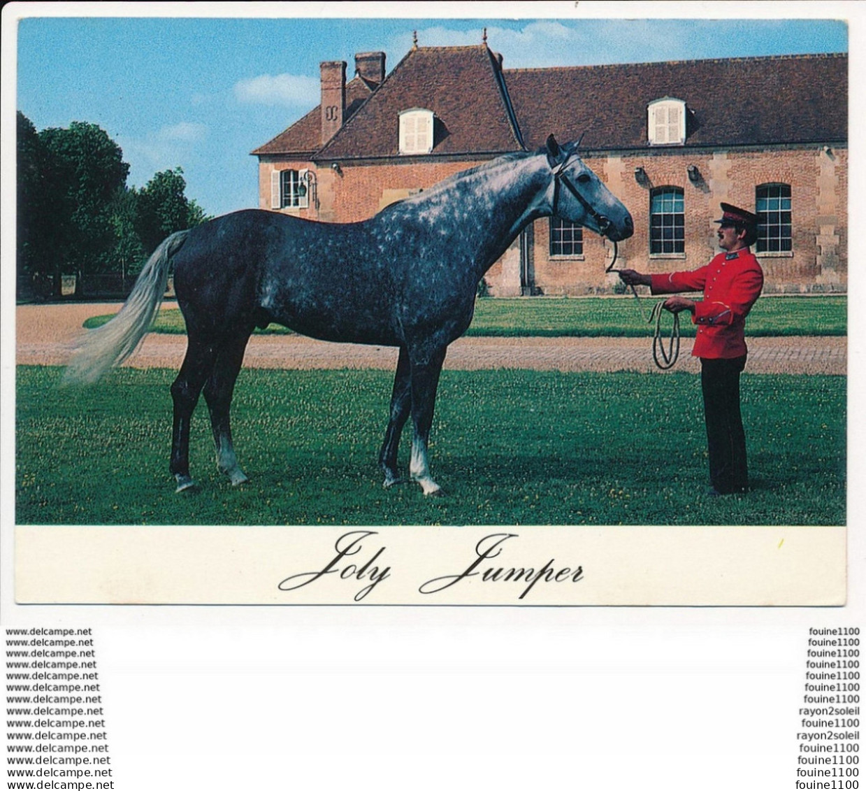 Carte ( Format 15 X 10,5 Cm )  EXMES Le HARAS DU PIN  JOLY JUMPER  Cheval - Exmes