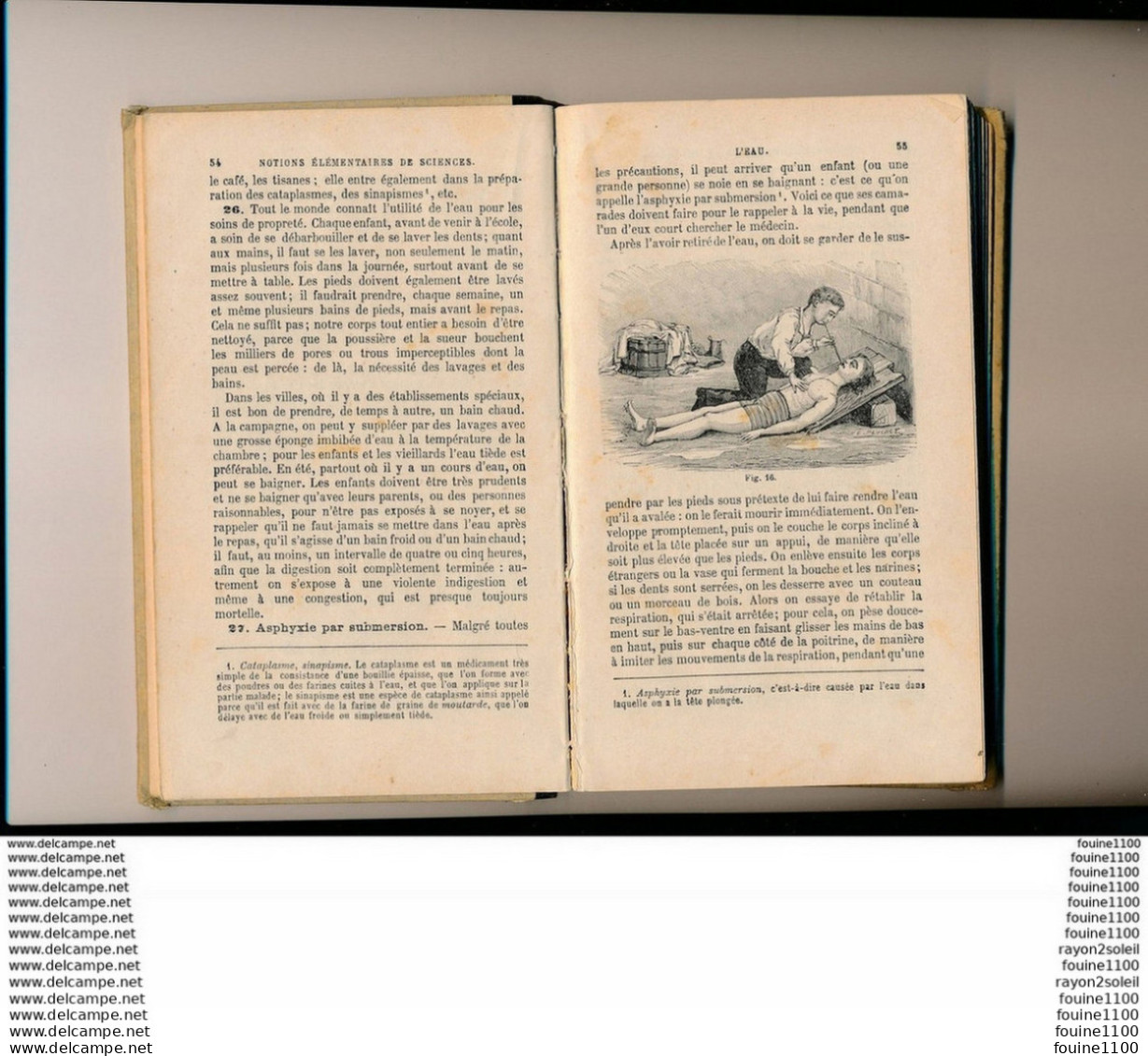 Année 1903 Notions élémentaires De Sciences Avec Leurs Applications à L' Agriculture Et à L' Hygiène Par O Pavette - 12-18 Ans