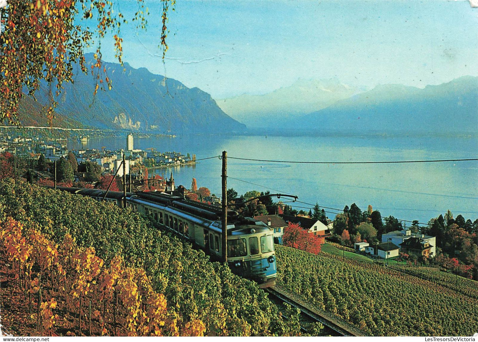 SUISSE - Montreux - Vue Sur Le Lac Léman Et Dents Du Midi - Carte Postale - Montreux