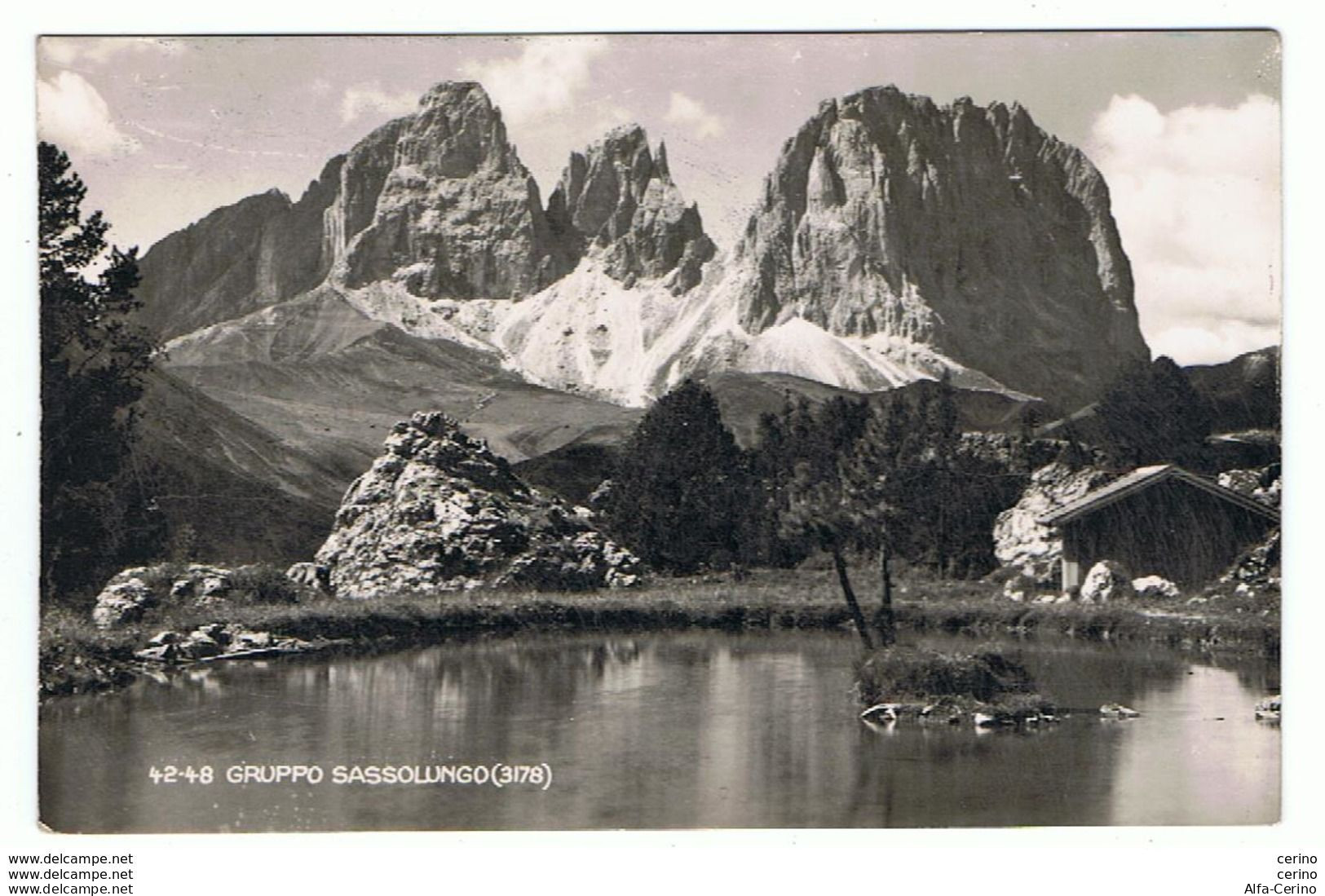 BOLZANO:   GRUPPO  SASSOLUNGO  -  FOTO  -  FP - Bergsteigen