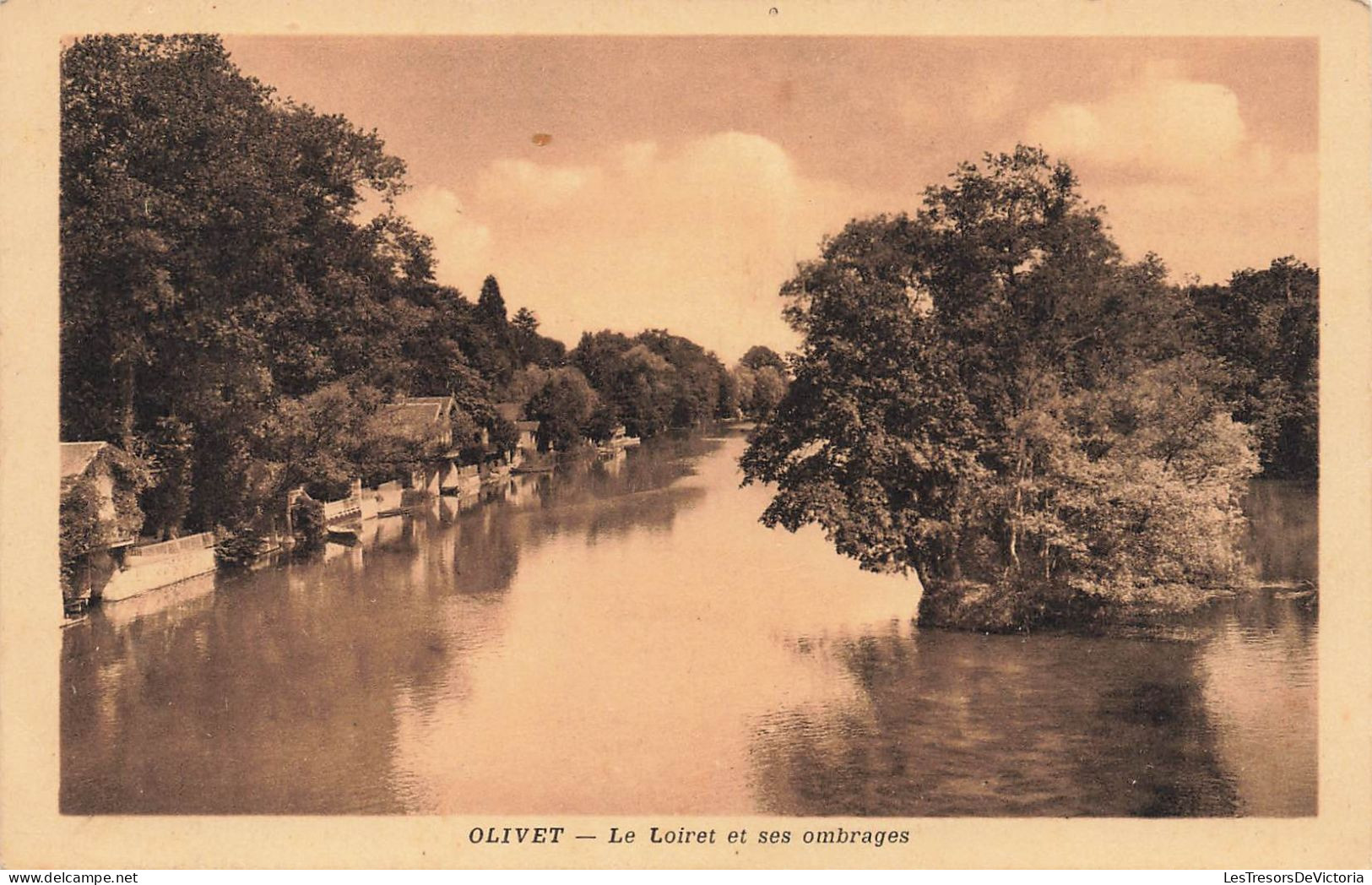 FRANCE - Olivet - Le Loiret Et Ses Ombrages - Carte Postale Ancienne - Sonstige & Ohne Zuordnung