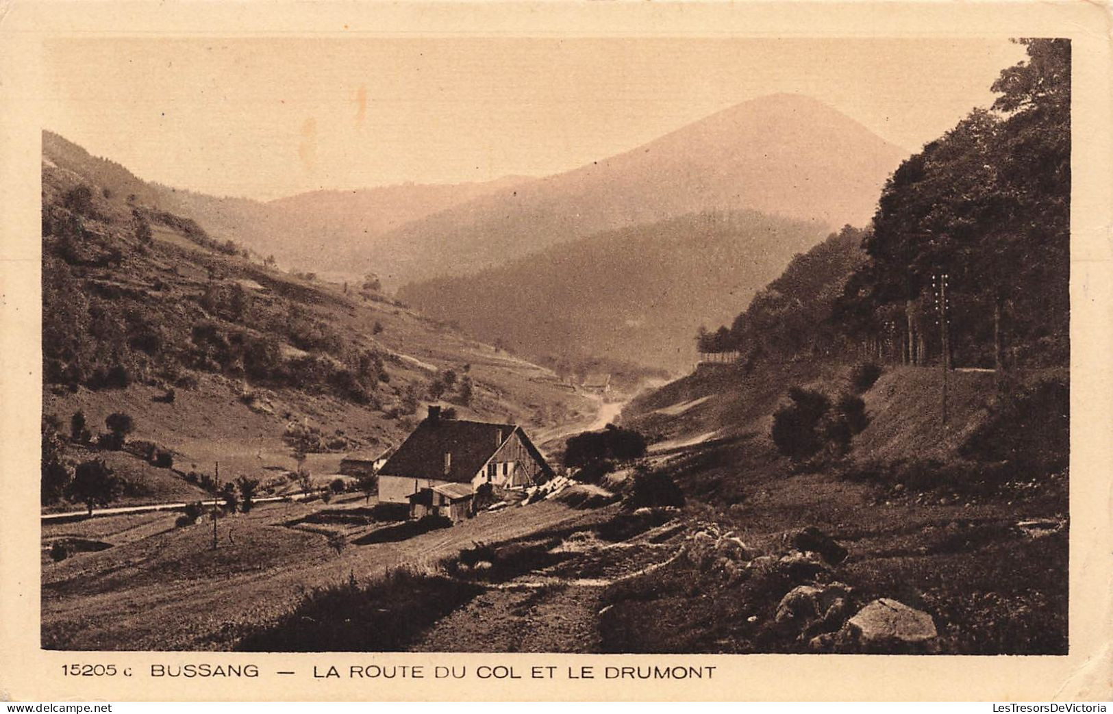 FRANCE -  Bussang - La Route Du Col Et Le Drumont - Carte Postale Ancienne - Bussang