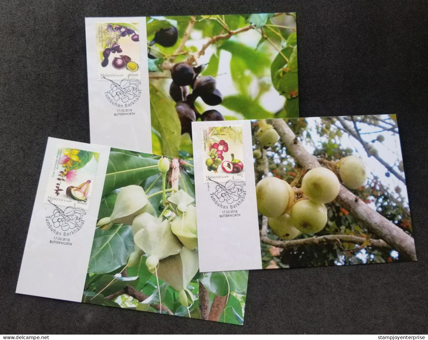 Malaysia Medicinal Plants IV 2018 Fruits Food Fruit Flowers Flower Medicine (maxicard - Malaysia (1964-...)