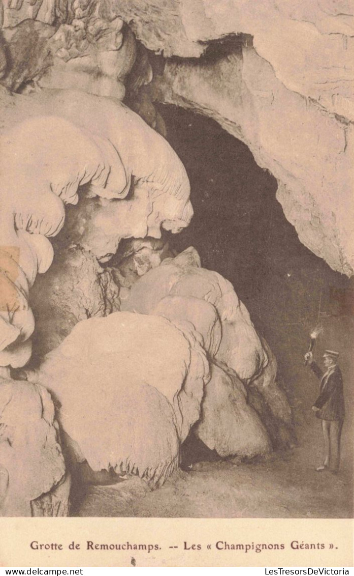 BELGIQUE - Grotte De Remouchamps - Les " Champignons Géants " - Carte Postale Ancienne - Aywaille